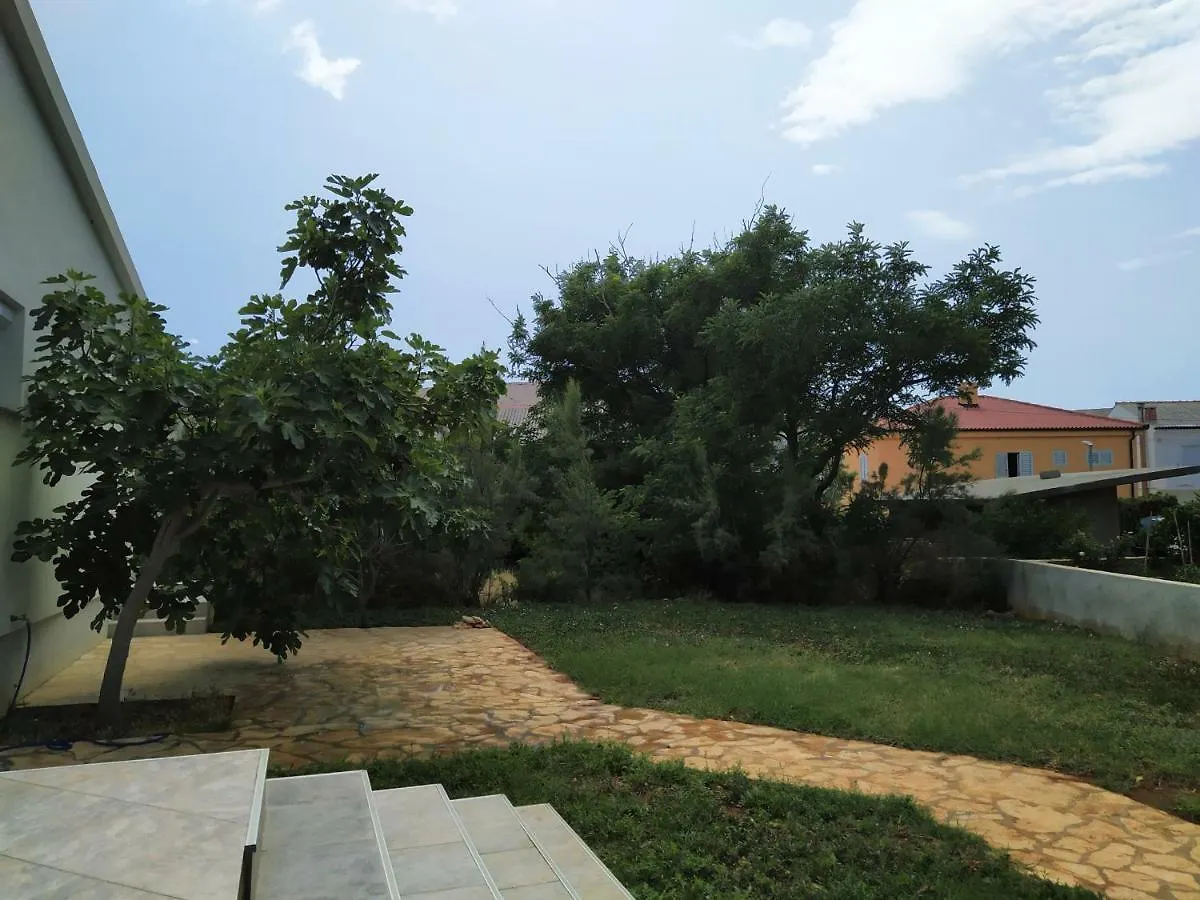 Apartment Petra Pag Pag Town